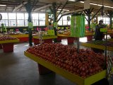 Canino Farmers Market 2520 Airline  (12).JPG